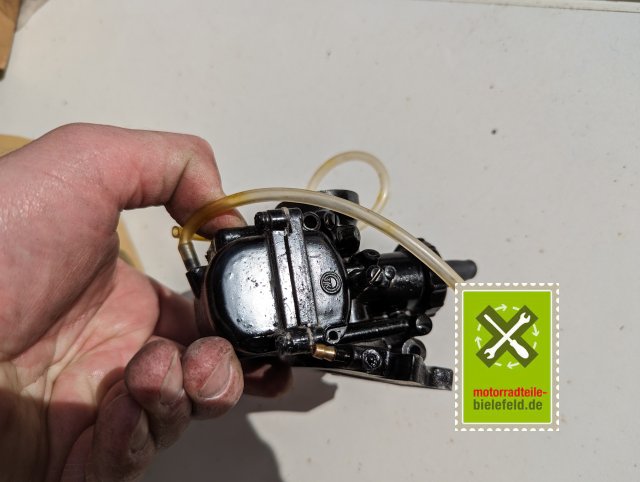 PXL_20240517_145636329.MP